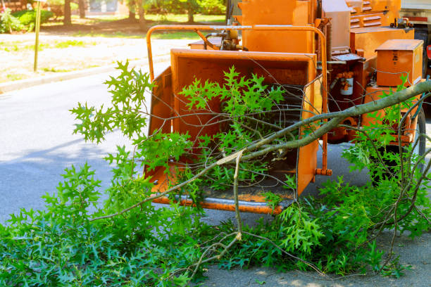 Best Tree Mulching  in Theresa, WI